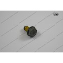 Hexagon Head Collar Screw M10x20 WS 17