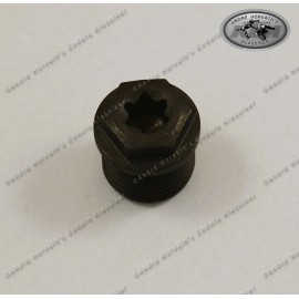 Oil Drain Plug M22x1,5 with Magnet