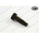 Stop Screw Engine for Kickstarter spring KTM 250/350/390/420/495 1981-83