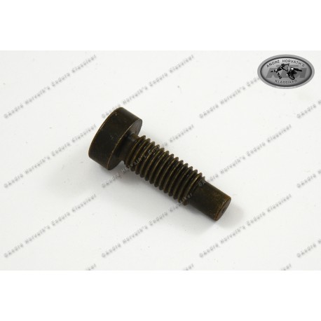 Stop Screw Engine for Kickstarter spring KTM 250/350/390/420/495 1981-83