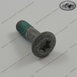 Lens Head Screw TX45 M8x26 0019080266S