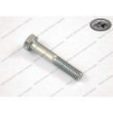 Hexagon screw M10x60