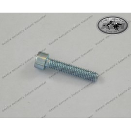 Allen Head Screw M6x30