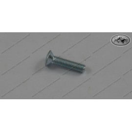 Oval Head Screw M5x20