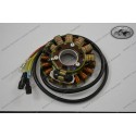 Stator Kit KTM 350/400/500/600/620 LC4 Kickstart Models 1987-1998, no returns of electric parts!