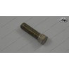 Special Screw M8x26 WS 10 59001037000