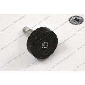 Special Screw for Side Stand KTM Duke 1997
