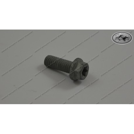 Cheese Head  Screw DIN 6912 Allen 6x16