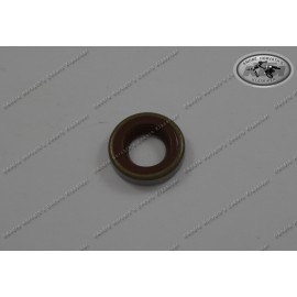 Shaft Seal Ring B-Viton 10x18x4