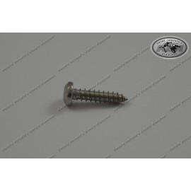 Raised Tapping Screw 5,5x19