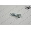 Hexagon Head Raised Tapping Screw 5,5x22 for Fuel Tap 0676550223