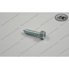 Hexagon Head Raised Tapping Screw 5,5x22 for Fuel Tap 0676550223