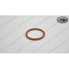 CU Seal Ring 20x25x1,5   0603202251