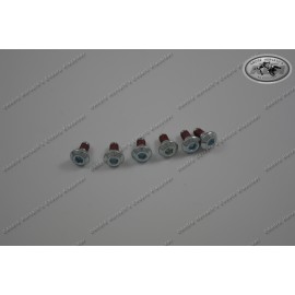 Brake Disc Bolt Kit Kawasaki Models 6 pieces M6x13