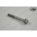 Collar Screw M10x80 SW 13 10.9  58036099100