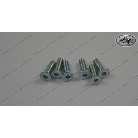 Brake Disc Bolt Kit KTM/Husqvarna Models 6 pieces M6x16 with locking nuts