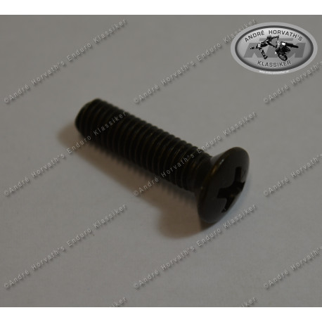 Oval Head Screw M5x20