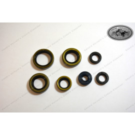 André Horvath's - enduroklassiker.at - Gaskets and Seals - engine seal ring kit