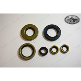 André Horvath's - enduroklassiker.at - Gaskets and Seals - engine seal ring kit