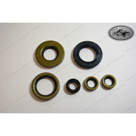 Engine seal ring kit KTM 250 GS/MX 1983-1984 type 543