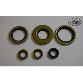 engine seal ring kit KTM 250 GL Krad Military