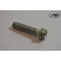 Special Screw M8x35 SW 10