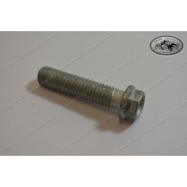 Collar Screw M6x10 SW 8