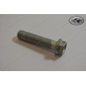 Special Screw M8x35 SW 10