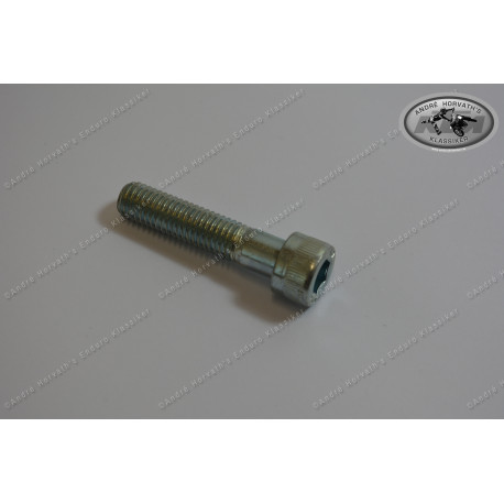 Allen Head Screw M6x45