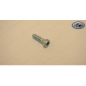 Zylinderschraube DIN 6912 Inbus 6x20mm für Bremsscheibe hinten