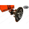 Nockenwelle komplett mit Autodeko 78036010333