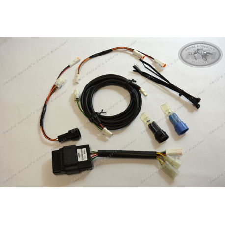 Adaptive Brakelight Kit KTM 62014949000