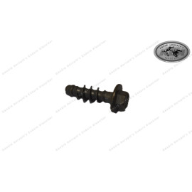 Screw for Plastic K60x20  SW6  0017060205