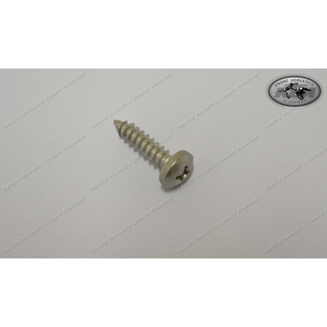 Self Taping Screw 4,8x19 for KTM chain guides models 1982-84
