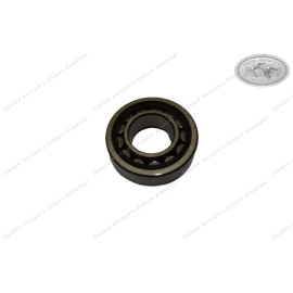 Cylinder Roller Bearing NJ205 ECP C4