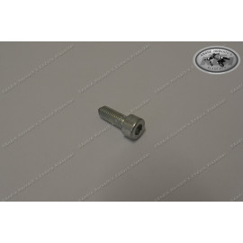Fixing Screw M8 L23 for Crankshaft KTM LC4