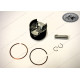 Forged Piston Kit Wiseco for Rotax