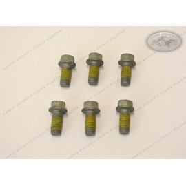 Bremsscheiben Schraubensatz 6 Stück M6
