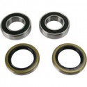 Pivot Works Rear Wheel Bearing Kit