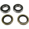 Pivot Works Rear Wheel Bearing Kit