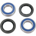 Rear Wheel Bearing Kit