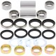 Swing Arm Bearing Kit