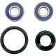 Front Wheel Bearing Kit