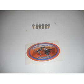 Breke Disc Bolt Kit 6 pieces M6