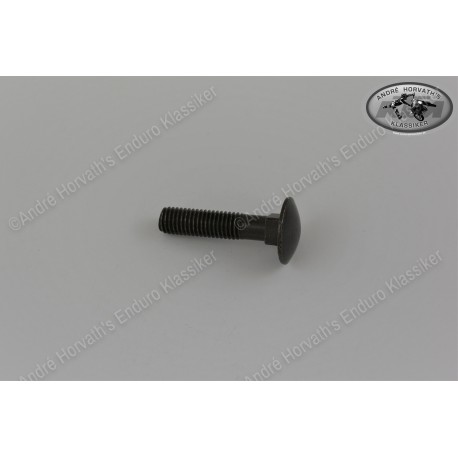 special screw M10x45