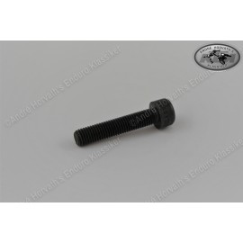 allen head screw M8x20