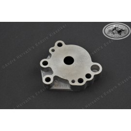 Oil Pump Cover 212580