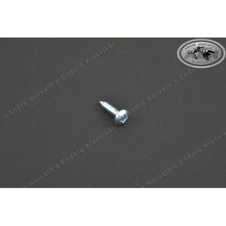 Oval Head Screw M5x20