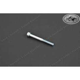 Allen head screw M6x65