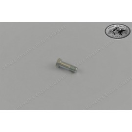 Screw for Bing Carburetor Top Cover